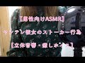 【男性向けASMR】ヤンデレ彼女のストーカー行為【立体音響・癒しボイス】
