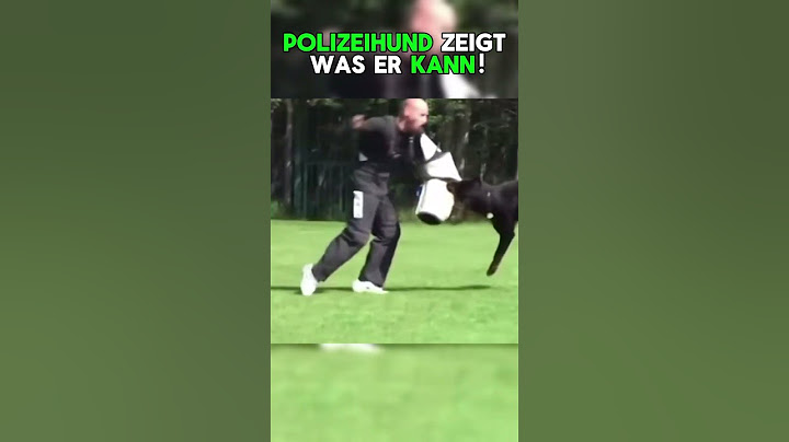 Polizeihund zeigt seine UNGLAUBLICHE Kraft!