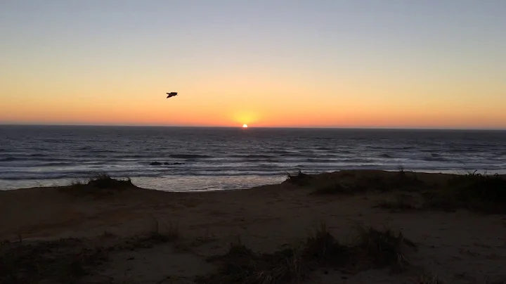 Oregon coast sunset