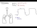 Capnography