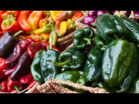 Video: Las mejores variedades de pimiento: descripción con foto