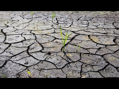 Alarmierend: Grundwasser im Norden vielerorts auf Tiefstand | Panorama 3 | NDR wasserstoff