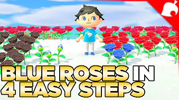 How to Get Blue Roses in 4 Easy Steps! Animal Crossing New Horizons