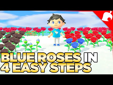 Video: How To Get Blue Roses