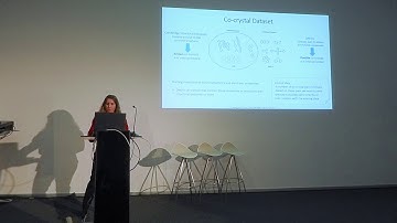 Data Driven Discovery of Functional Molecular Co-Crystals | AI & Molecular World | Aikaterini Vriza