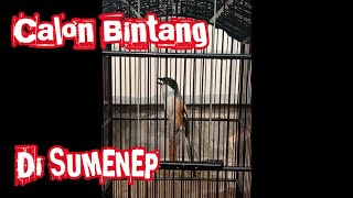 CENDET LEPAS TROTOL TEMBAKAN GEREJA TARUNG, ARMAGEDON, KUNTILANAK, RAJA GETAR