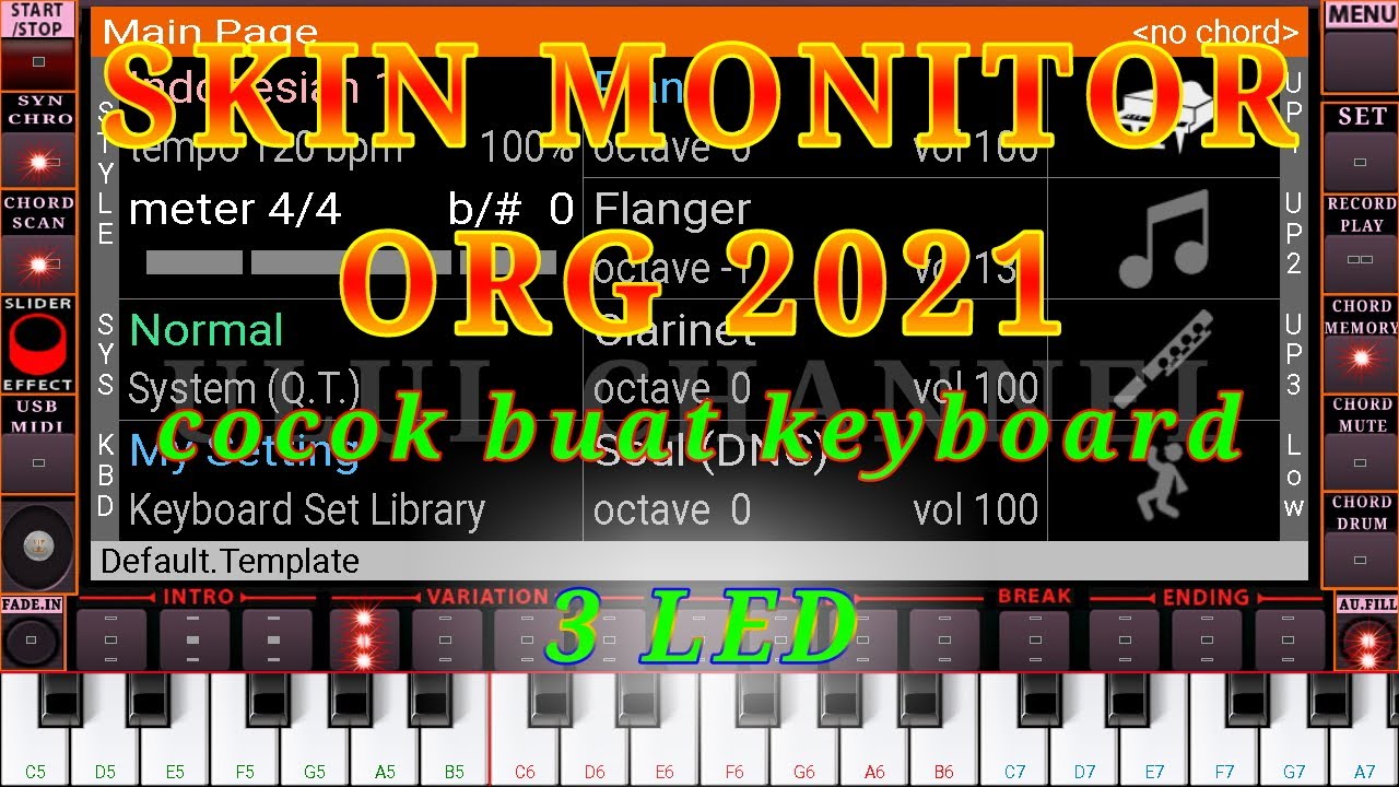 Skin Monitor ORG 2021 Full Qhd