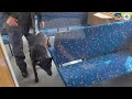 Policie ČR: Čtyřnozí parťáci v akci! Cvičilo se vyhledávání výbušnin, zbraní či drog.