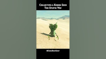 BOTW - Collecting a Korok Seed - The Stupid Way #botw #zeldashorts
