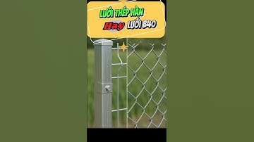 🔴 Lưới B40 hay lưới hàn chấn sóng: Làm hàng rào chọn loại nào bền hơn?