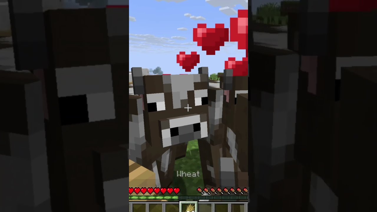 Типы игроков в Майнкрафте, a какой игрок ты? 