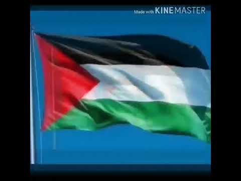 بطلت ان اكون عراقي #فلسطيني وأفتخر 💔💔 - YouTube