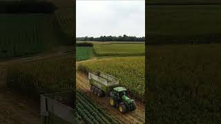 Insilato Di Mais Team Tosone 2025