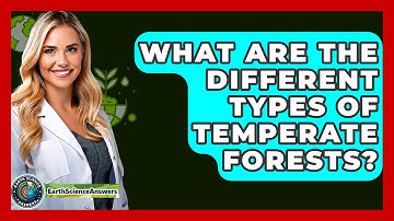 What Are The Different Types Of Temperate Forests? - Earth Science Answers