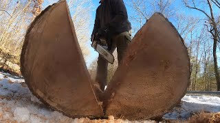 FREE!!!!! Big Massive Oak Roadside Logging PART 2