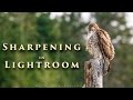 Sharpening in Lightroom - Tutorial