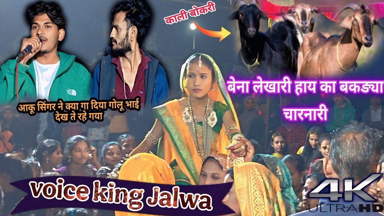 काली बोकरी 😁आकू सिंगर ने क्या गा दिया गोलू भाई देख ते रहे गया ||voice king Jalwa 