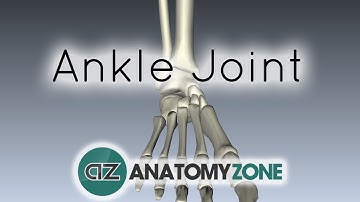 Ankle Joint - 3D Anatomy Tutorial