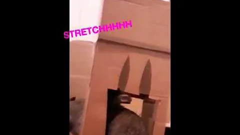 Lockdown Bunny  Fort