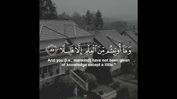 سورة الإسراء🍃القارئ رعد الكردي🍃حالات واتس اب🍃