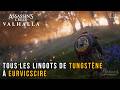 Assassin's Creed Valhalla - Emplacement de tous les lingots de Tungstène à Eurvicscire