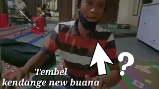 Tembel Kendang New Buana