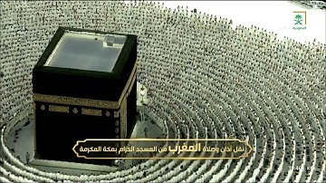 تلاوة عذبة لآوخر سورة الفتح للشيخ د. ماهر المعيقلي من صلاة المغرب 17 ربيع الأول 1447هـ