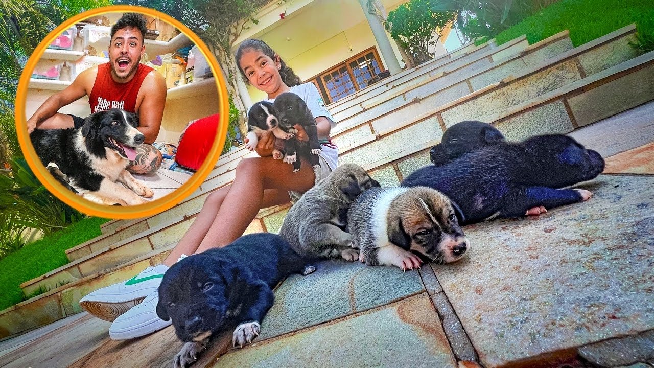 FUI VISITAR OS FILHOTINHOS DA SKY * VOU PEDIR UM PRO TIO RENATO