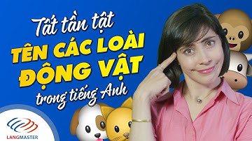 Langmaster - Tất tần tật tên các loài động vật trong tiếng Anh [Học tiếng Anh giao tiếp cơ bản #3]