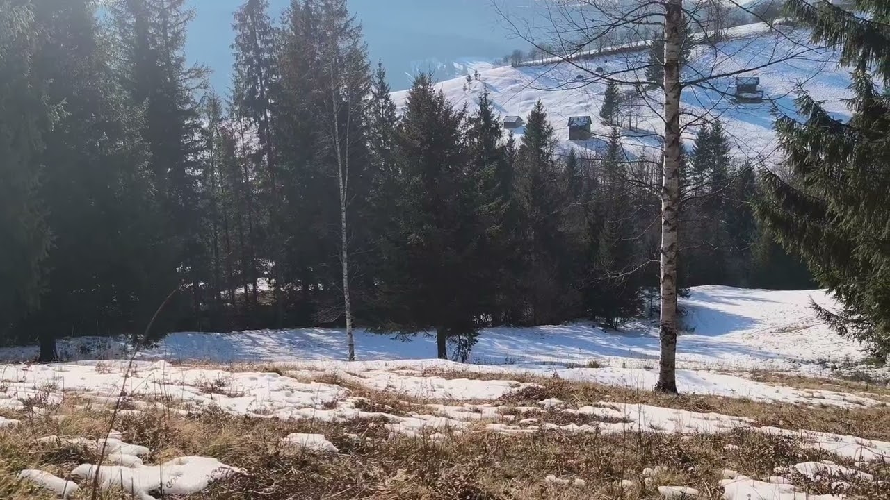 Bucovina. În munți! 