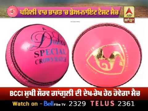 Day Night Match ਵਿੱਚ ਇਸਤੇਮਾਲ ਹੋਣ ਵਾਲੀ ਖ਼ਾਸ Pink Ball | ABP Sanjha |