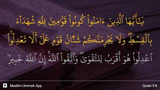 Al-Ma'idah ayat 8