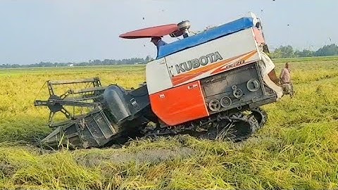 MÁY CẮT LÚA KUBOTA DC 70 GIẢI CỨU YANMAR 82 SÉM LẦY