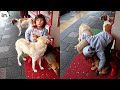 Little Girl Comforts Homeless Dogs After Being Abandoned