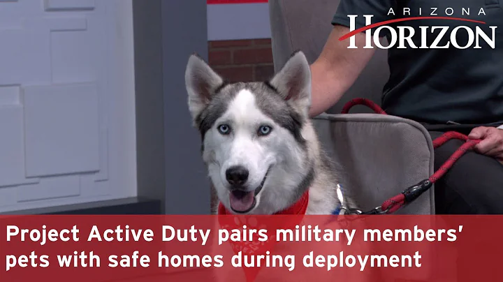 Project Active Duty pairs military members' pets with safe homes during deployment | Arizona Horizon
