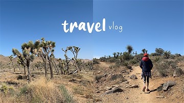 Visiting Palm Springs and Joshua Tree National Park