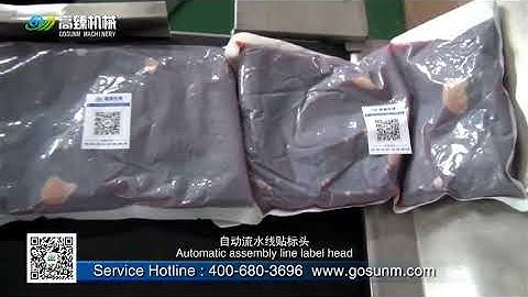 Gosunm Automatic  Soft Parcel Labeling Machine Label Applicator GSJ-T-51100