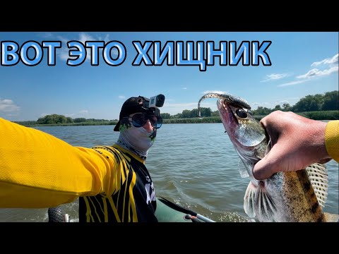 ЭТО ЧТО ХИЩНИК!? РЫБАЛКА С ЛОДКИ НА ДЖИГ