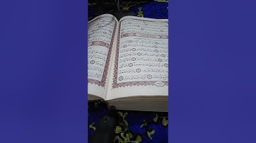 ألقيامة(١-١٩) القارئ عصام العبيدي