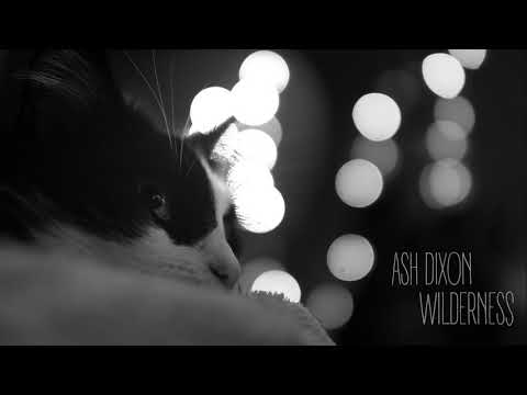 Ash Dixon - Wilderness (Audio)