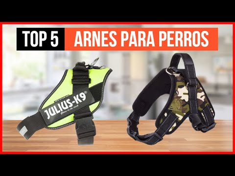 Video: Qué relleno usar en un arnés para perros