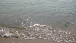 Азовское море. Мариуполь - 1 сентября 2015. Песчаный пляж
