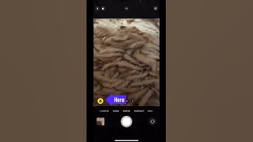 How to enable Macro Control for the Camera app