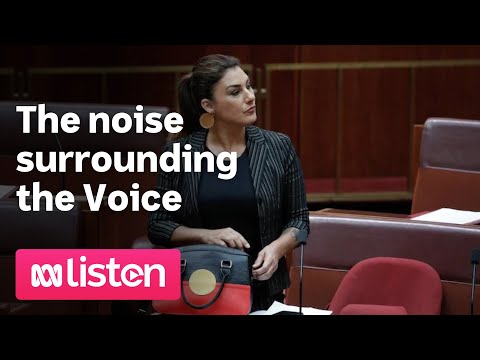 The noise surrounding the voice | abc news daily podcast