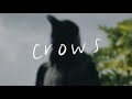Naomi Jon Crows Official Lyric Video