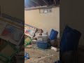 Deer hops in basement