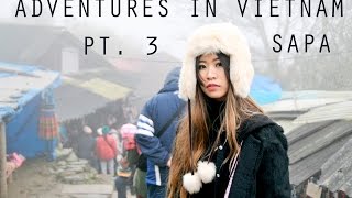 Vi-Log | Vietnam 2015 Pt. 3 | Sapa