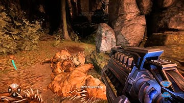 Evolve Beta - Markov Tutorial