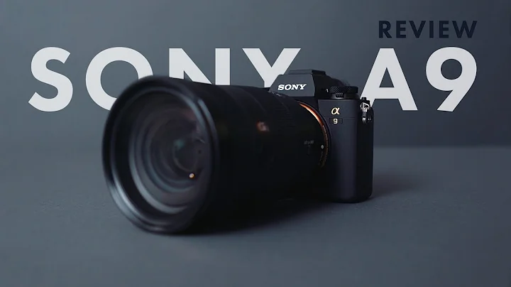 Sony A9 Review - DayDayNews