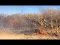 Incêndio atinge rodovia próxima a Boa Ventura; vídeo